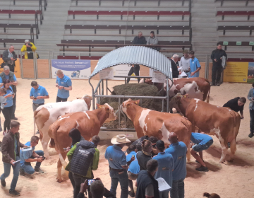Mladi rejec iz Delnic v Poljanski dolini tekmoval na odprtem prvenstvu Nemčije v ocenjevanju krav s pomočjo mobilne aplikacije Fleckscore