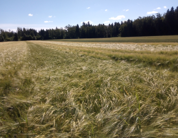 Predstavitev aplikacije SOPOTNIK in fotoSOPOTNIK,