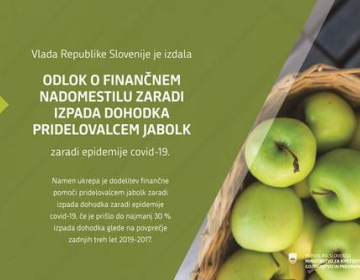 FINANČNO NADOMESTILO ZARADI IZPADA DOHODKA  PRI...