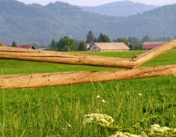 Podpora za naložbe v kmetijska gospodarstva za...