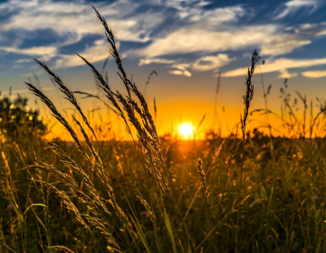 VABILO NA  PREDSTAVITEV  JAVNEGA RAZPISA  ZA FI...