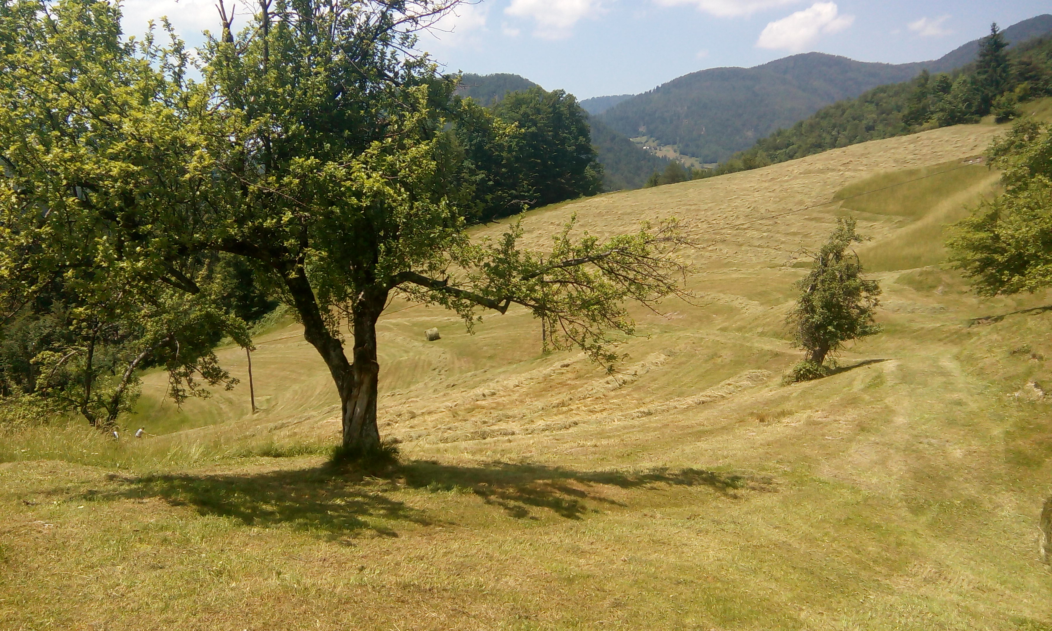 Posnetek nadaljevalnega usposabljanja za ukrep Ekološko kmetovanje iz Programa razvoja podeželja Republike Slovenije za obdobje 2014–2020, za leto 2021,  KGZS – Zavod KR