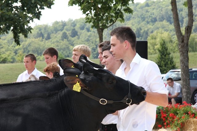 Obvestilo in povabilo - Mednarodna šola mladih rejcev