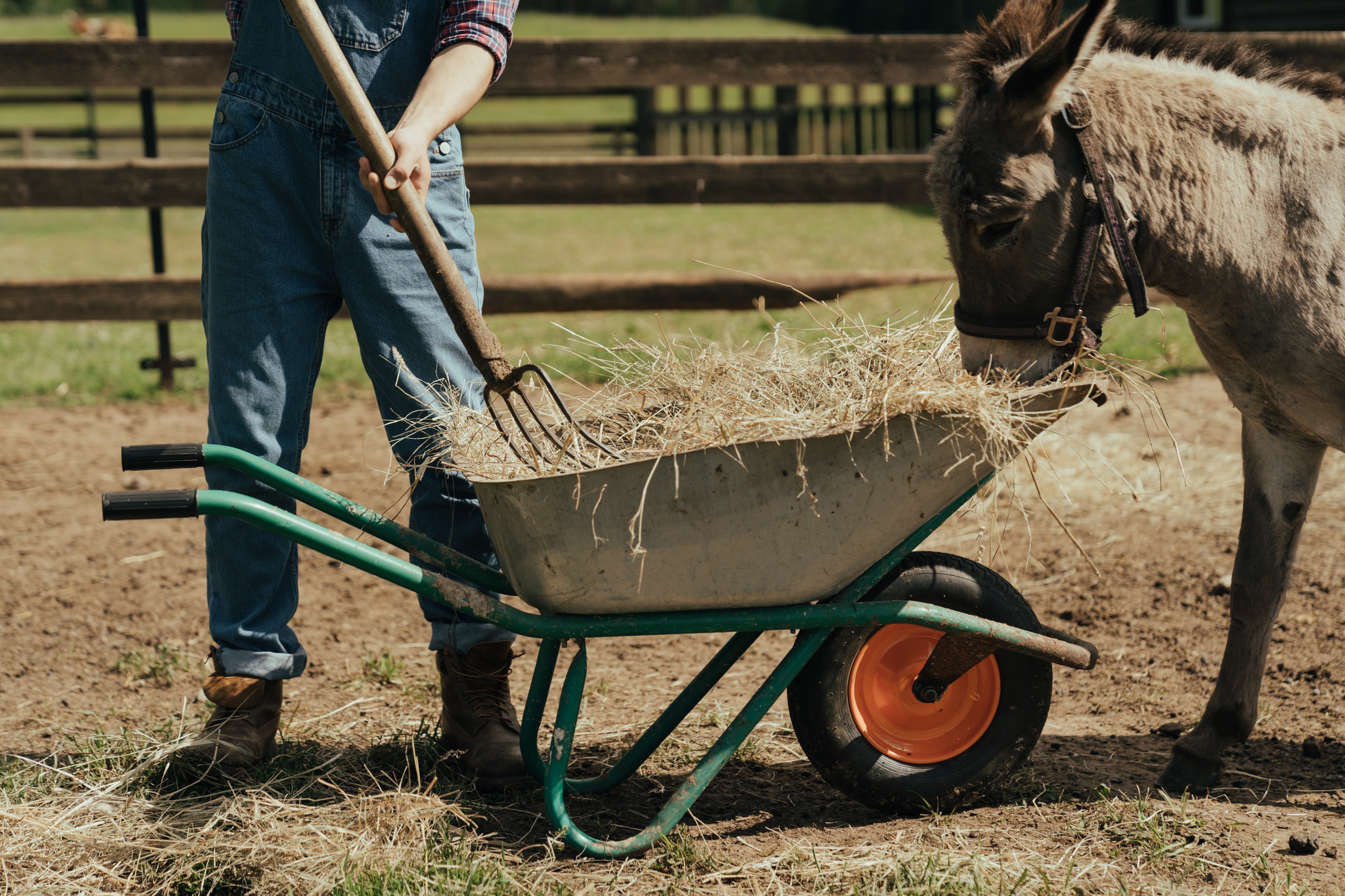 1.JR ZA FINANČNI PRODUKT – AGRO FI MIKRO  (FINANČNI INSTRUMENTI)