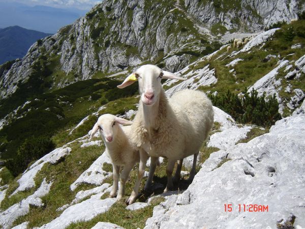 Vabilo in prijavnica za demonstracijsko delavnico DROBNICA