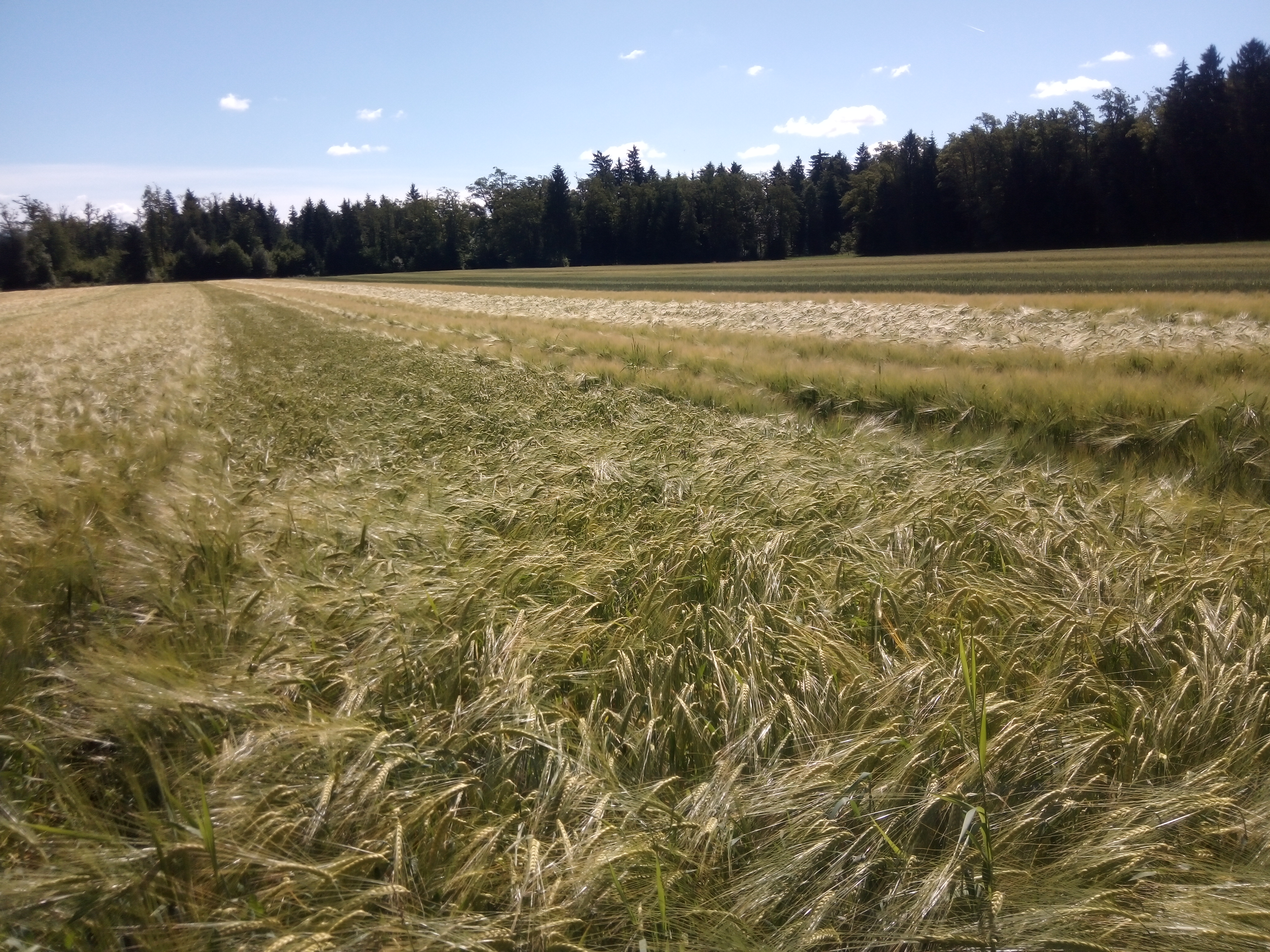 Predstavitev aplikacije SOPOTNIK in fotoSOPOTNIK,